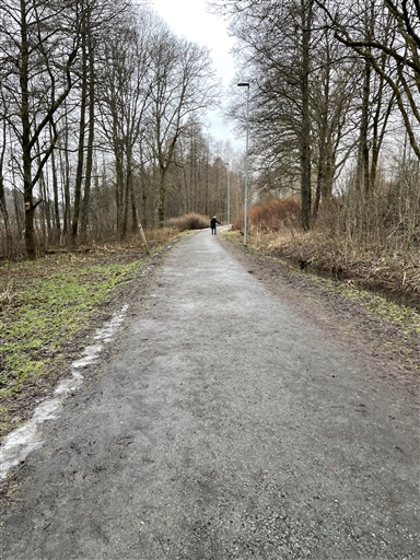 Bild uppladdad av Anonymiserad