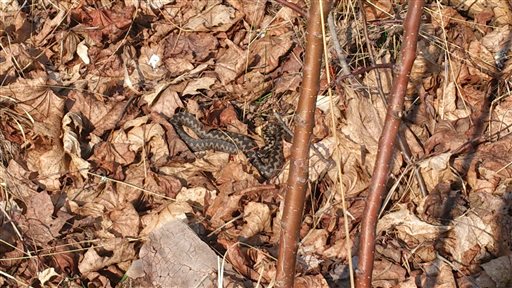 Bild uppladdad av Johanna Lindell