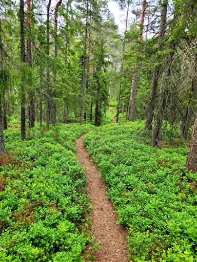 Bild uppladdad av Marcus