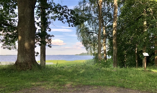 Bild uppladdad av Tony Elias