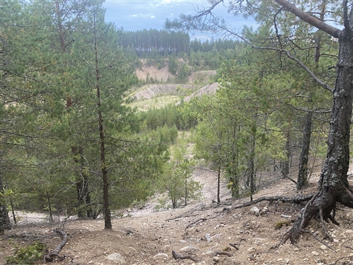 Bild uppladdad av Kicki Dahlberg 