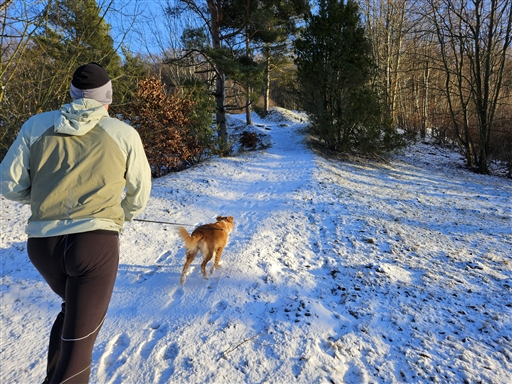 Bild uppladdad av Nicklas Nordborg