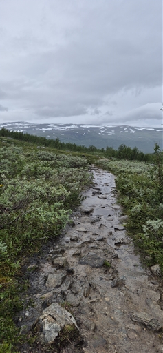 Bild uppladdad av Anna Elina Rönnbäck 