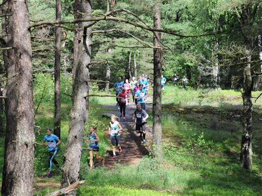 Bild uppladdad av Erik Engstrand