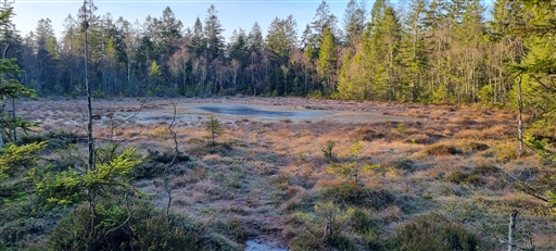 Bild uppladdad av Nicklas Nordborg