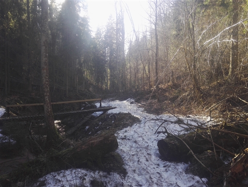 Bild uppladdad av Henrik Ortman