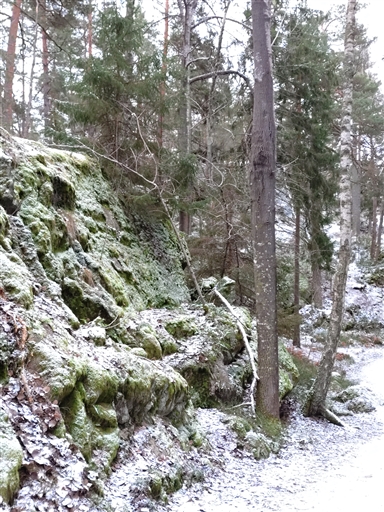 Bild uppladdad av Samuel