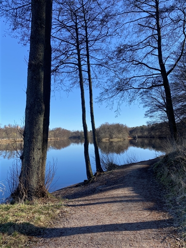 Bild uppladdad av Sofia P Hofvander