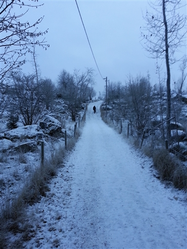 Bild uppladdad av Johan L