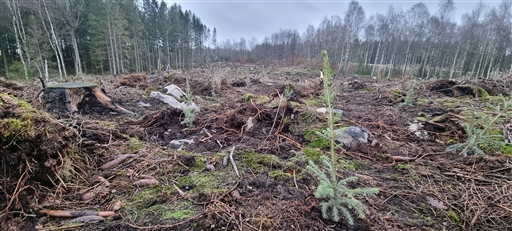 Bild uppladdad av Nicklas Nordborg