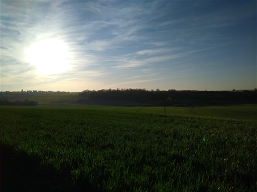 Bild uppladdad av Jesper