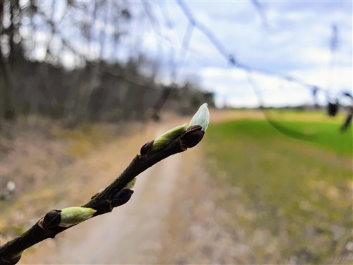 Bild uppladdad av Johan Modig