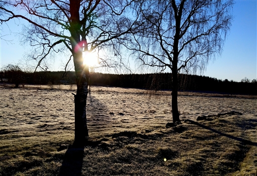 Bild uppladdad av Nicklas Nordborg