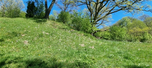 Bild uppladdad av Nicklas Nordborg