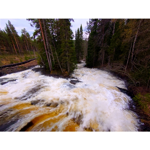 Bild uppladdad av Erik