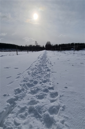 Bild uppladdad av Nicklas Nordborg