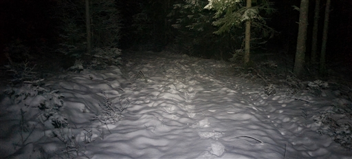 Bild uppladdad av Henrik Ortman