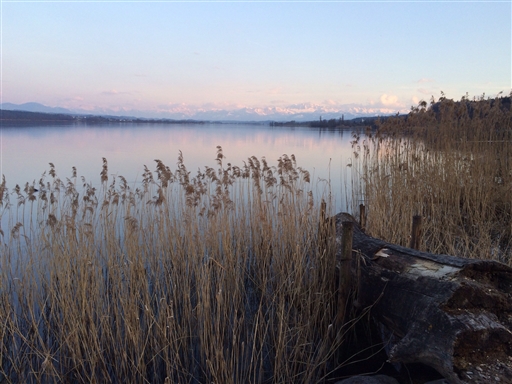 Bild uppladdad av Erik "Tricky" Fries