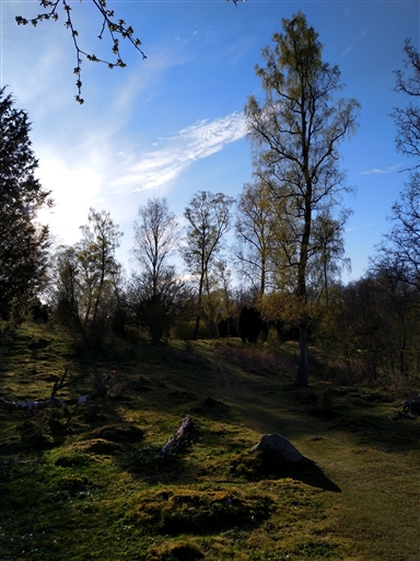 Bild uppladdad av Nicklas Nordborg