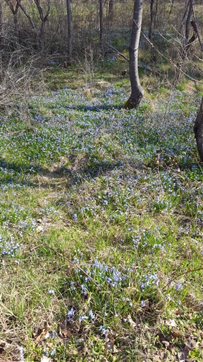 Bild uppladdad av Torbjörn Westman