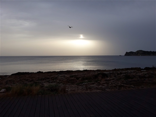 Bild uppladdad av Jesper