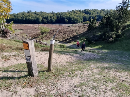 Bild uppladdad av Nicklas Nordborg