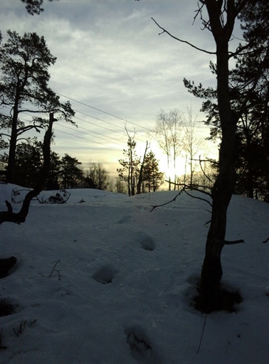 Bild uppladdad av V. Väderhatt