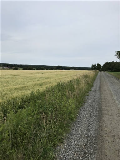 Bild uppladdad av Thomas Segerbrant