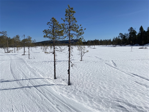 Bild uppladdad av Kicki Dahlberg 