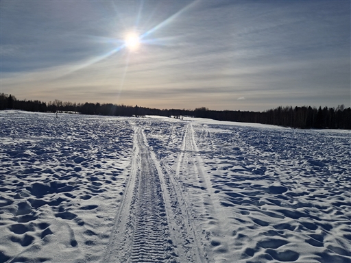 Bild uppladdad av Anna