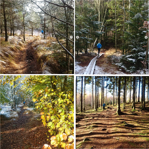 Bild uppladdad av Monica Carlsson