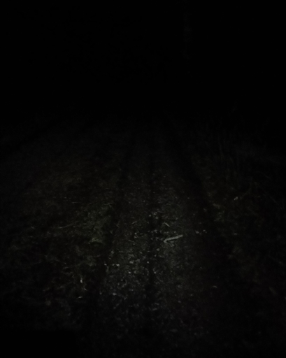 Bild uppladdad av Nicklas Nordborg