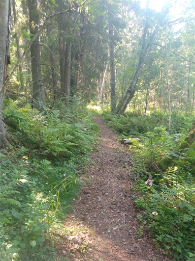 Bild uppladdad av Sverker Olsson