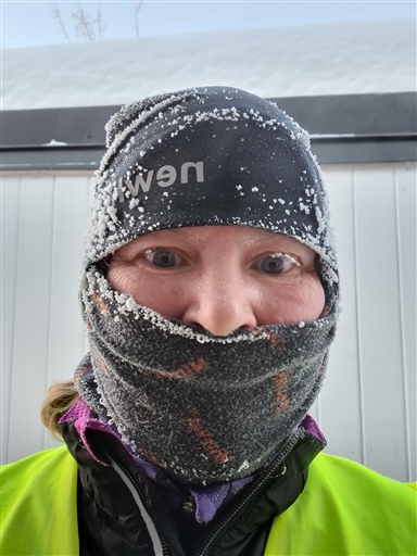 Bild uppladdad av Venche