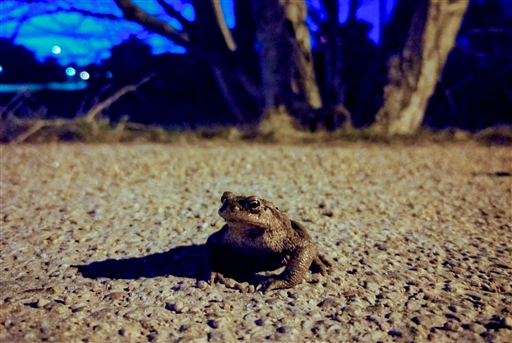 Bild uppladdad av Johan Modig