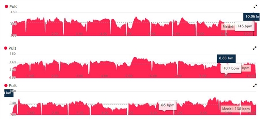 Bild uppladdad av Martin  