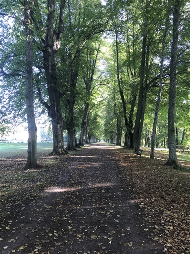 Bild uppladdad av Thomas Segerbrant