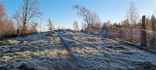 Bild uppladdad av Nicklas Nordborg