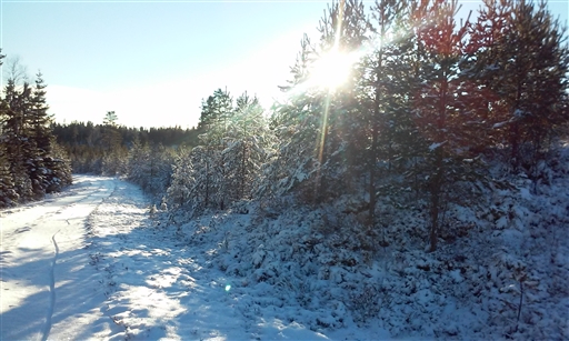 Bild uppladdad av Jonny Widmark