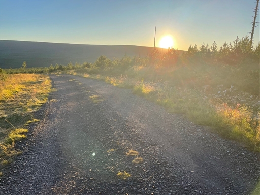 Bild uppladdad av Anonymiserad