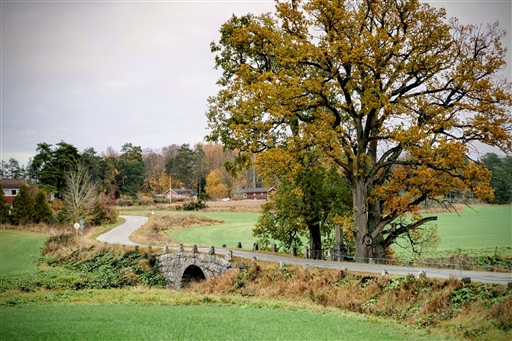 Bild uppladdad av Johan Modig