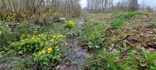 Bild uppladdad av Nicklas Nordborg