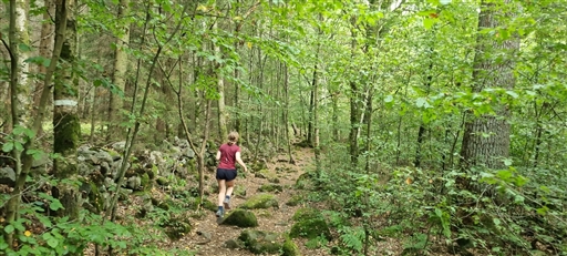 Bild uppladdad av Nicklas Nordborg