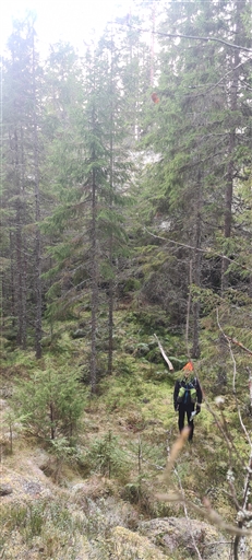 Bild uppladdad av Henrik Ortman