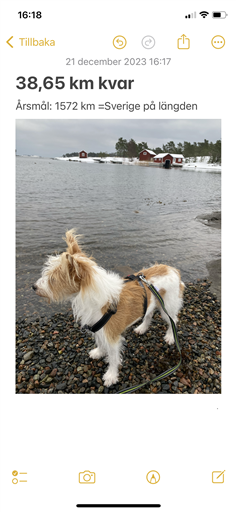 Bild uppladdad av Agneta Österman Lindquist