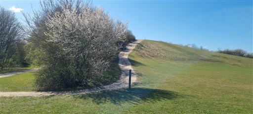 Bild uppladdad av Nicklas Nordborg