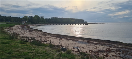 Bild uppladdad av Henrik Ortman