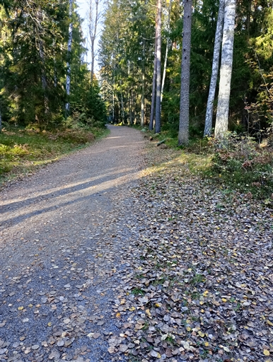 Bild uppladdad av Claes Lund