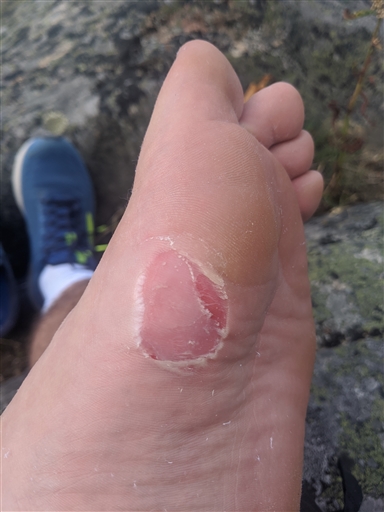 Bild uppladdad av Jacob