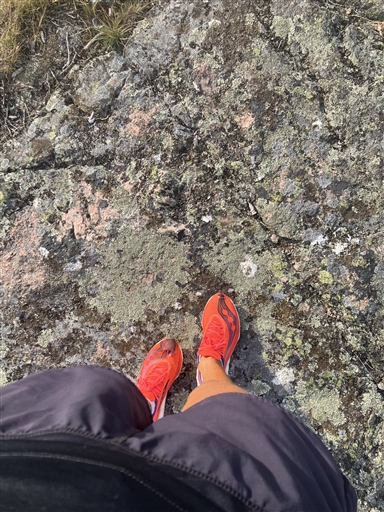 Bild uppladdad av Maria Petersson